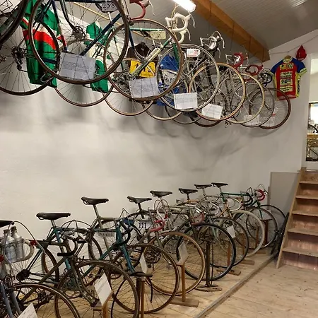 팜스테이 Agriturismomillefiori 만시아노